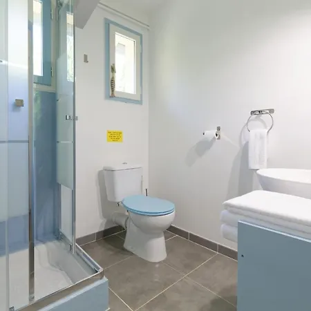 De Groupes & Piscine De La Maison Bleue Du Gers * Savignac-Mona